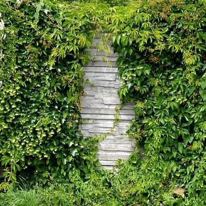 Methods to Soundproof Your Garden Effectively Methods to Soundproof Your Garden Effectively