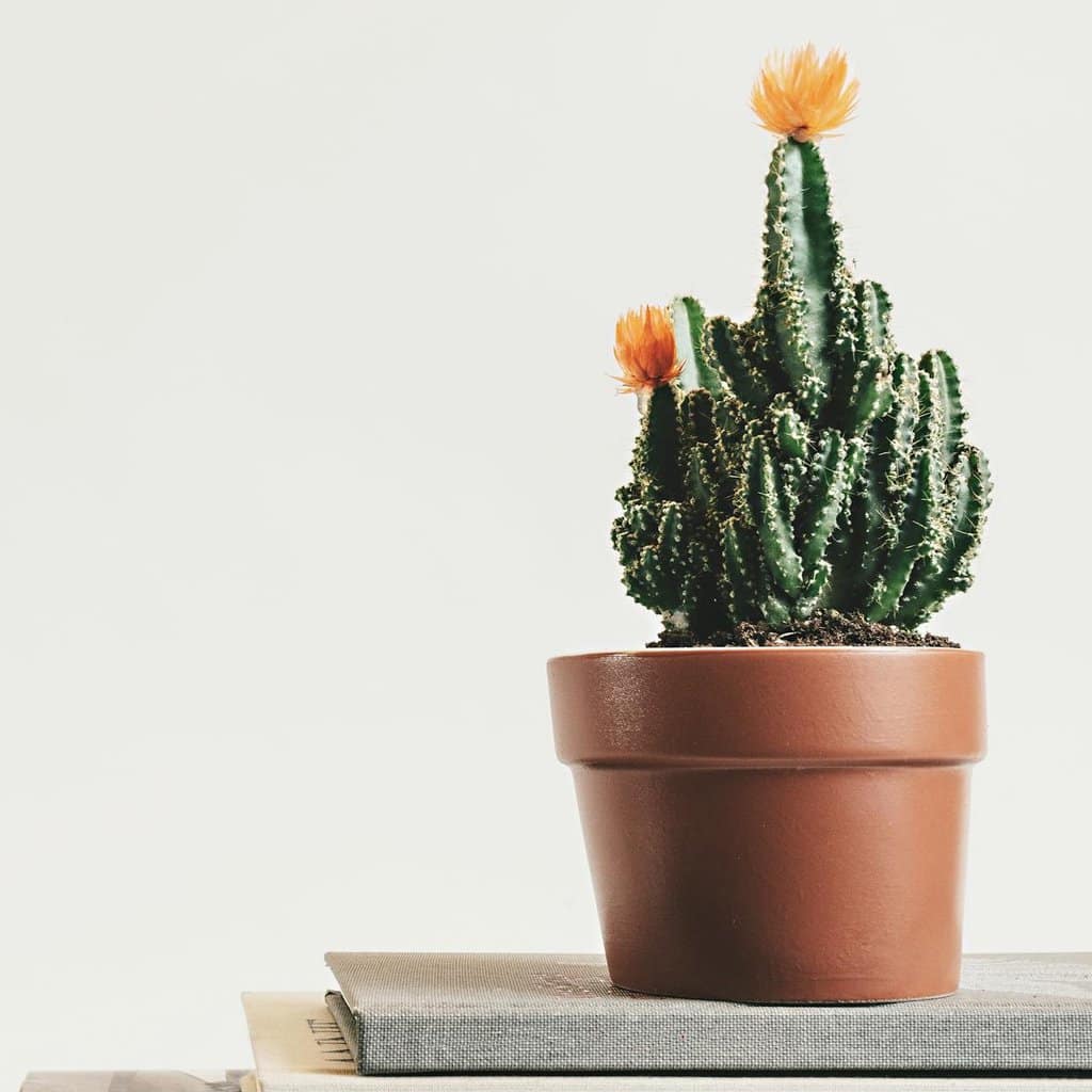 Maximising minimalism