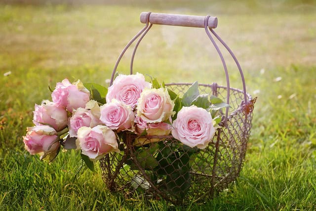 Flower jobs for May Flower jobs for May