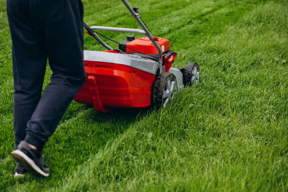 How to Mow Your Lawn Without Damaging the Grass 1