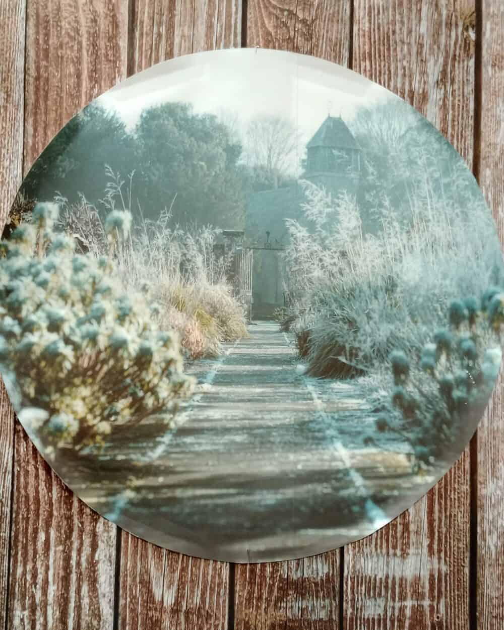 Nature-Inspired Design