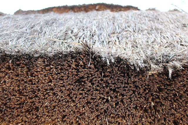 Types of Thatched Roofs and Materials Types of Thatched Roofs and Materials