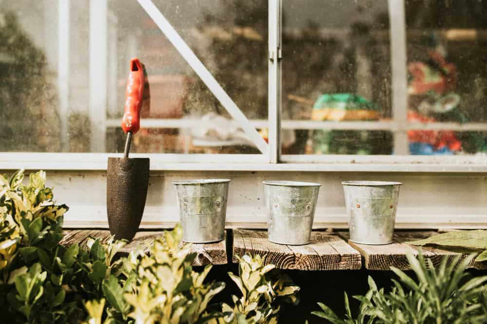 Greenhouse Gardening Jobs in August Greenhouse Gardening Jobs in August