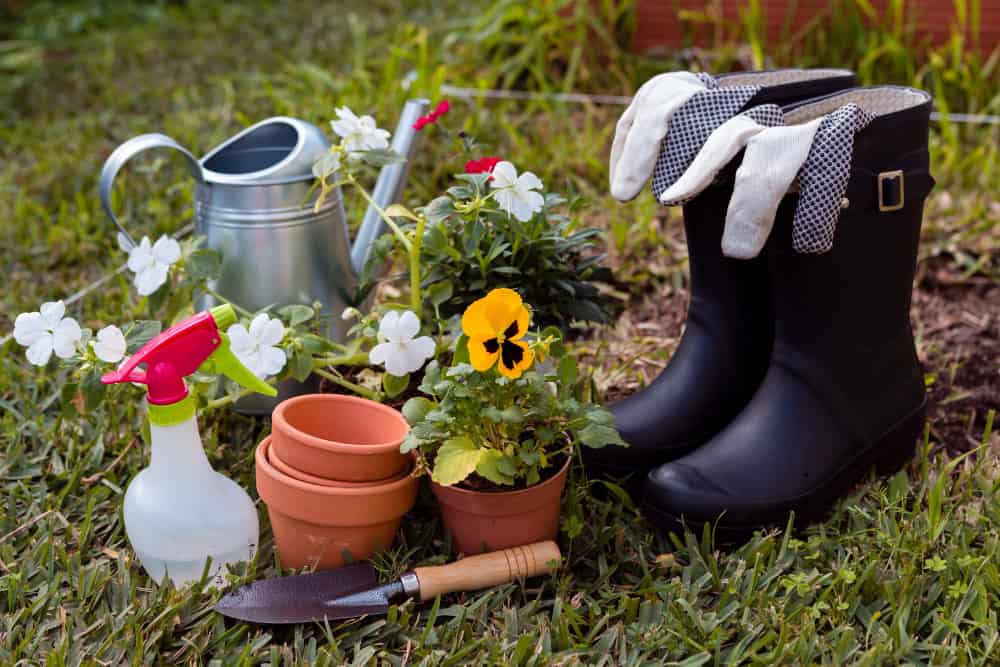 Remove Slug Hiding Places from Your Garden