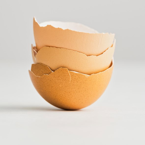 Eggshells for Pest Control and Calcium Eggshells for Pest Control and Calcium
