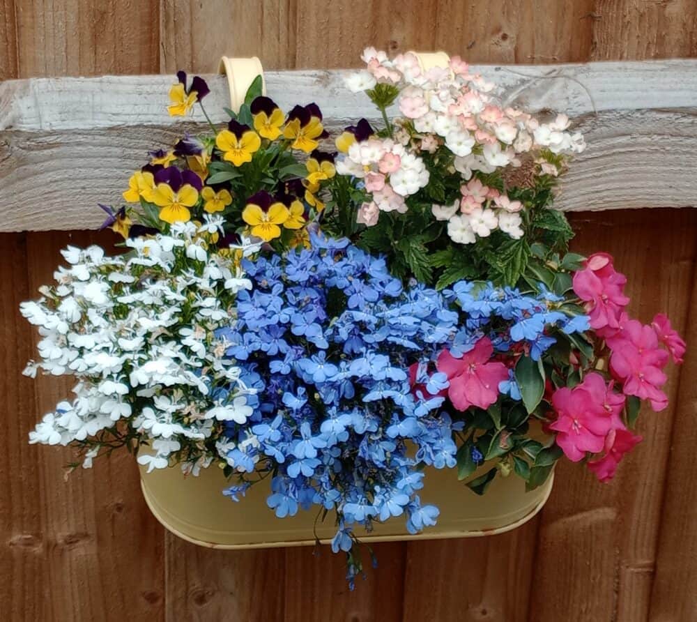 Add Greenery and Hanging Baskets