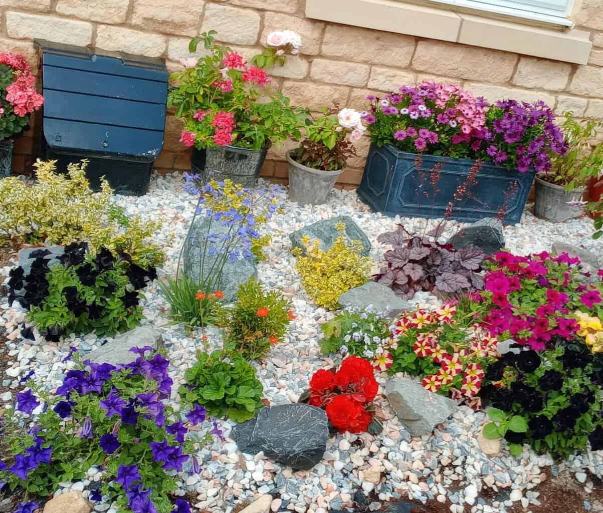 Amazing Garden Hacks that Will Wow! 1