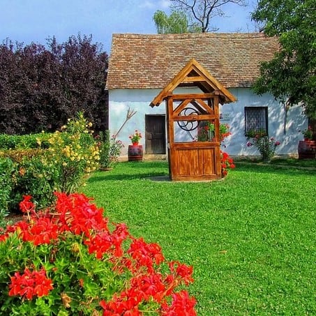 How to Cultivate The Perfect Lawn 1