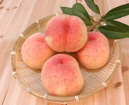 Create the Ultimate Peach-Theme Summer Kitchen Fresh, Fun and Flavorful Create the Ultimate Peach-Theme Summer Kitchen Fresh, Fun and Flavorful 1