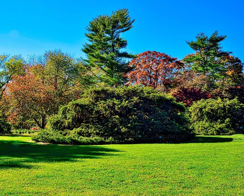 How to Cultivate The Perfect Lawn
