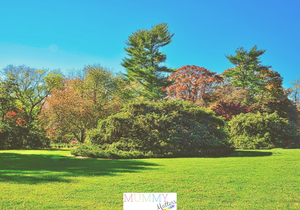 cultivate the perfect lawn