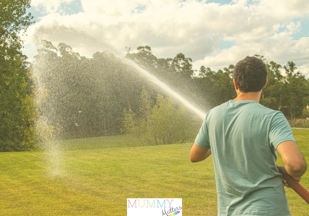 Cultivate the perfect lawn