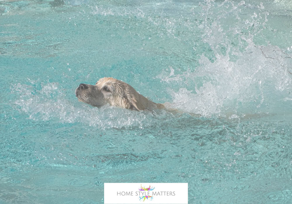 What to Expect at a Physiotherapy Appointment What to Expect at a Physiotherapy Appointment