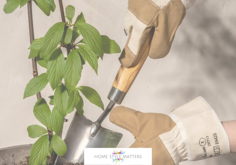 Guide to Autumn Pruning - Tips for Success Autumn Pruning - The Secret to a Healthier, More Vibrant Garden 1