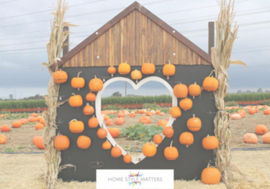 Explore the Past History of Pumpkin Lanterns and Their Significance 2