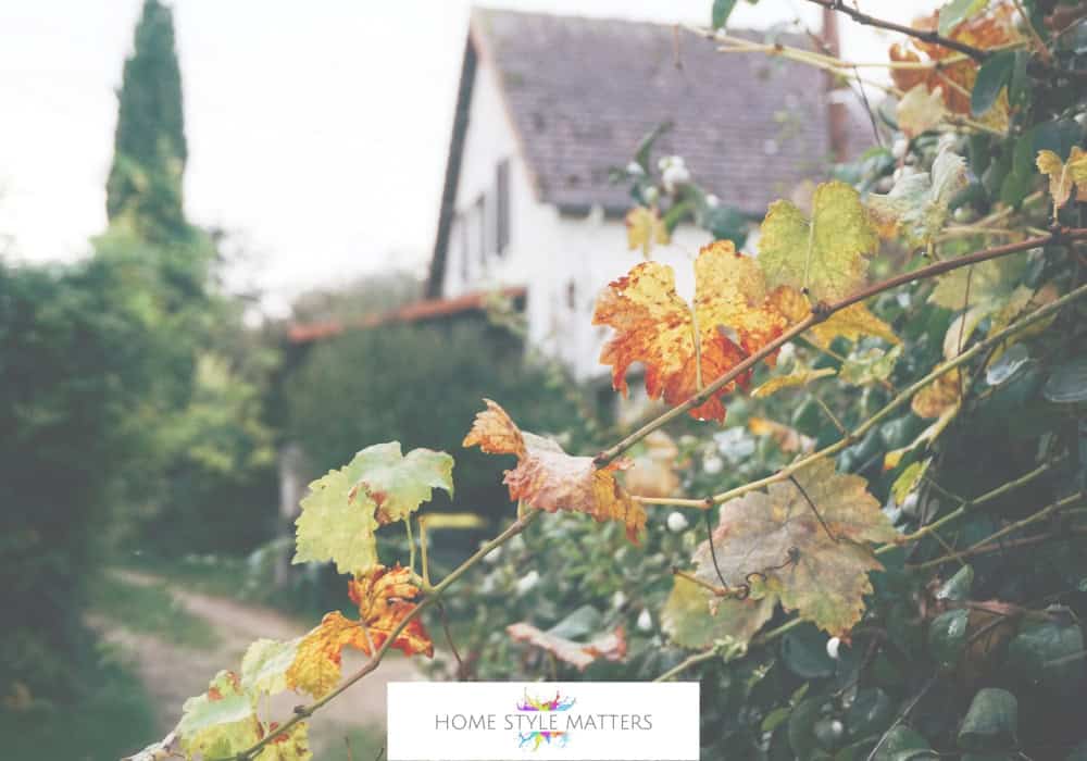 Autumn Pruning - The Secret to a Healthier, More Vibrant Garden Autumn Pruning - The Secret to a Healthier, More Vibrant Garden