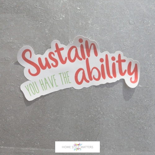 Eco Conscious Students Can Live Sustainably On A Budget 1