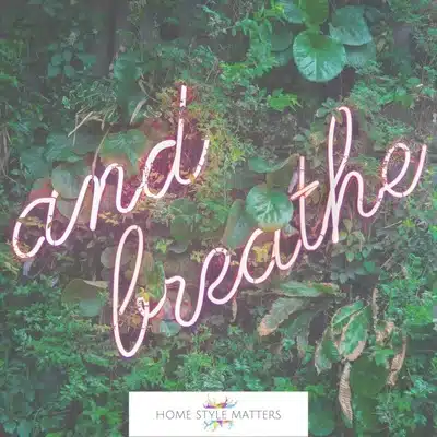 calm cost-free ambience