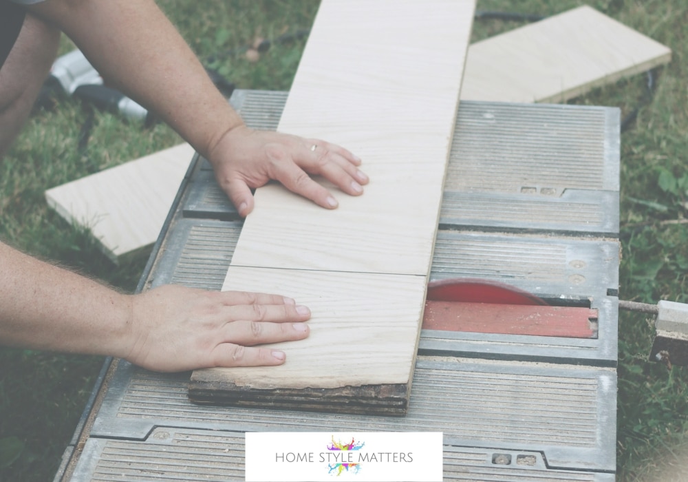 DIY Projects for Your House Cat