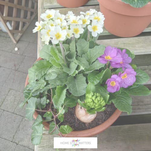 January Garden Jobs