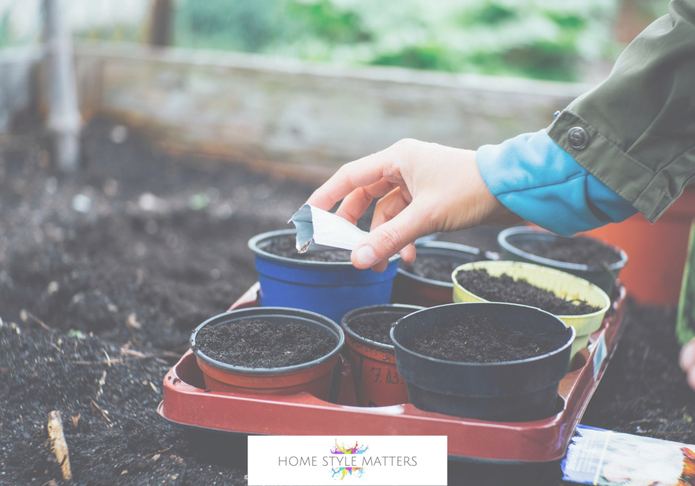 Start Sowing Seeds Early Start Sowing Seeds Early