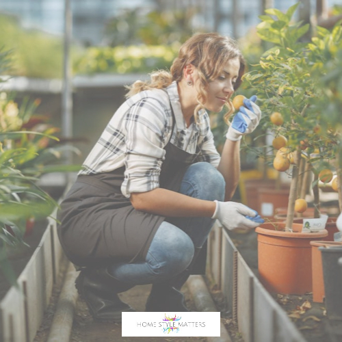 smell in the backyard