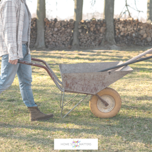 neglected backyard growth