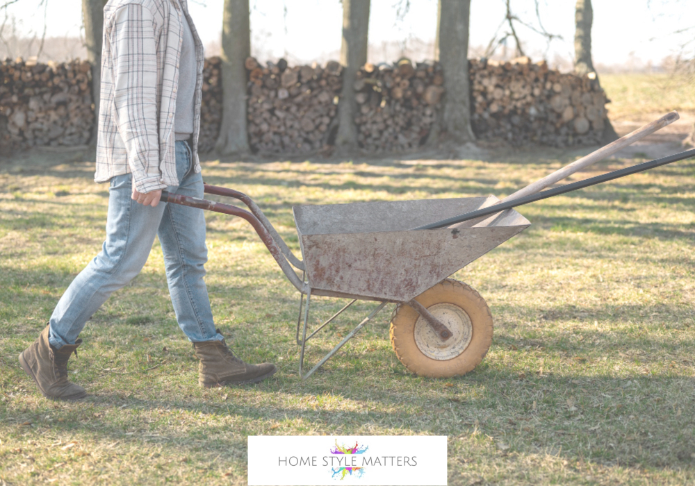 neglected backyard growth
