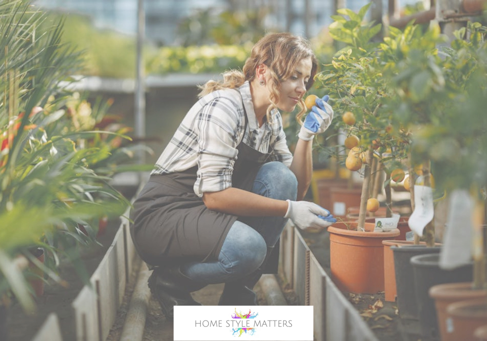 smell in the backyard
