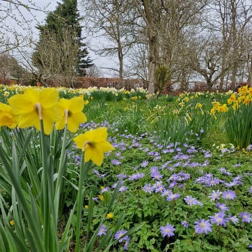 Unlock Spring Garden Potential With These Essential Steps 2