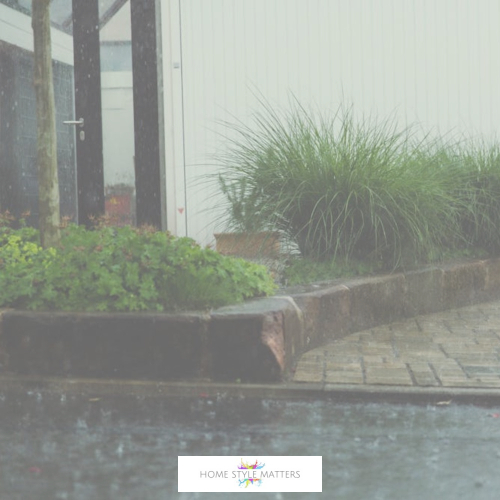 storm-proof your garden