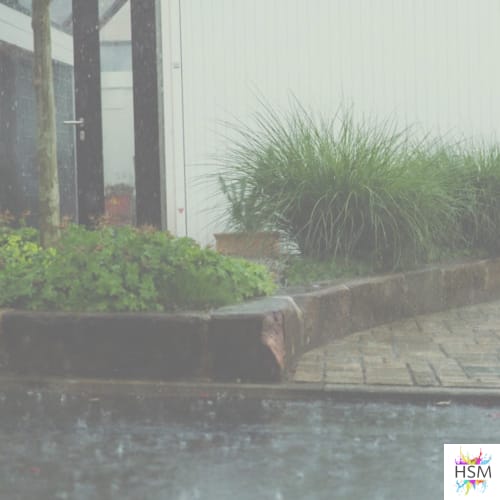 storm-proof your garden