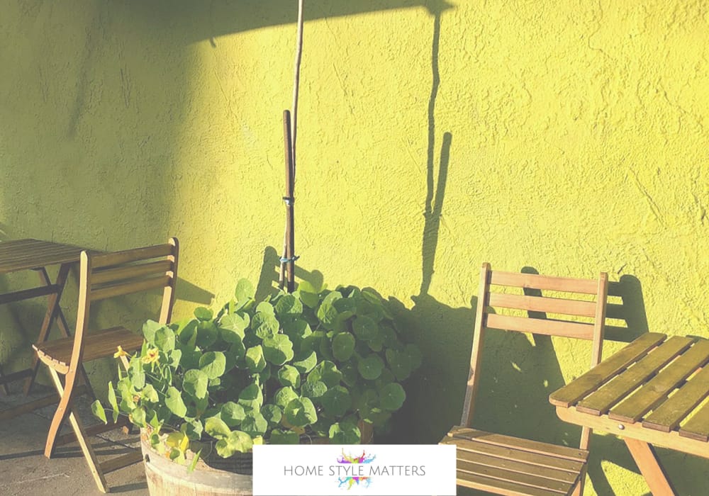 Growing Veg Successfully Growing Veg Successfully