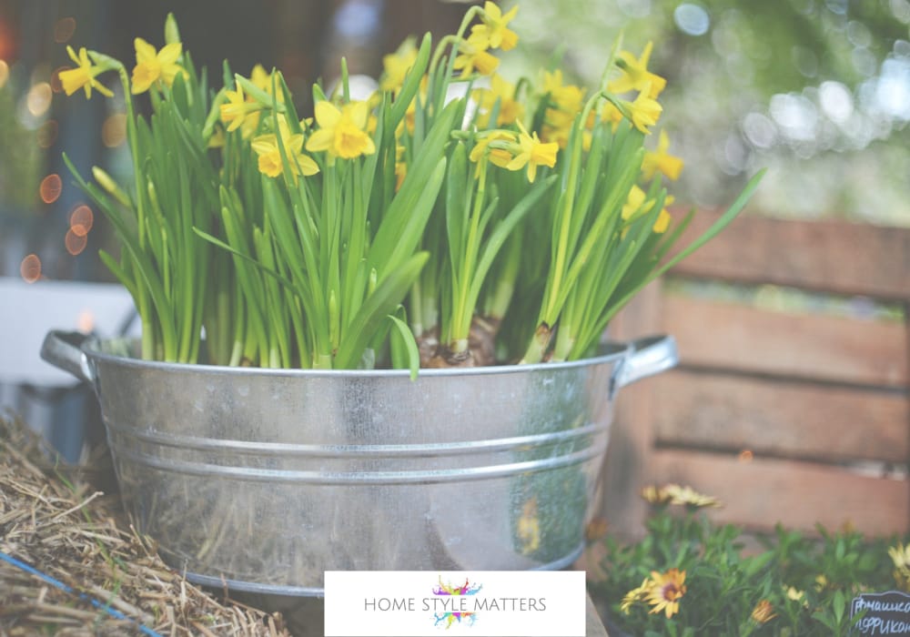 Unlock Spring Garden Potential With These Essential Steps