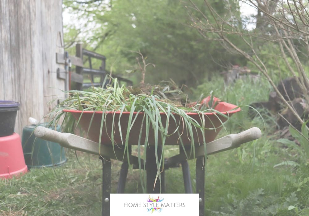 Remove Any Weeds Before They Take Hold