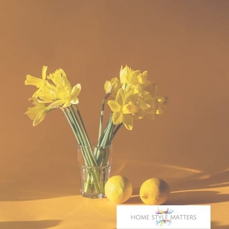 A Touch of Lemon to Add a Zing to Your Spring Decor 6