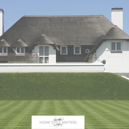 Lawn Issues And How To Rectify 7