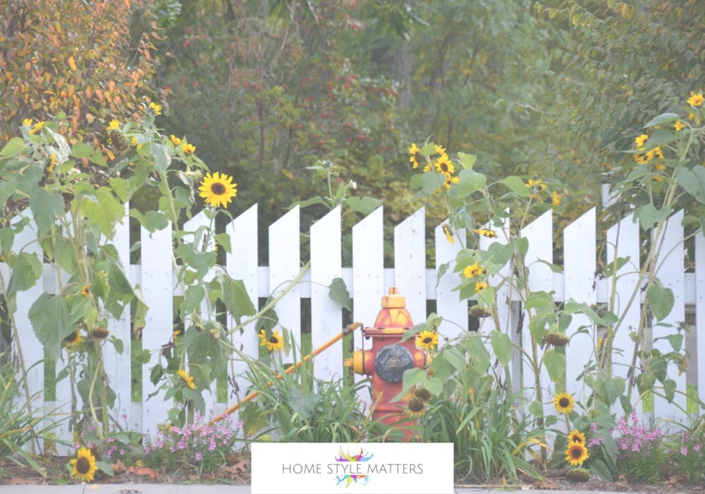 The Numerous Benefits of Having a Border Around Your Home 1 Border around your home