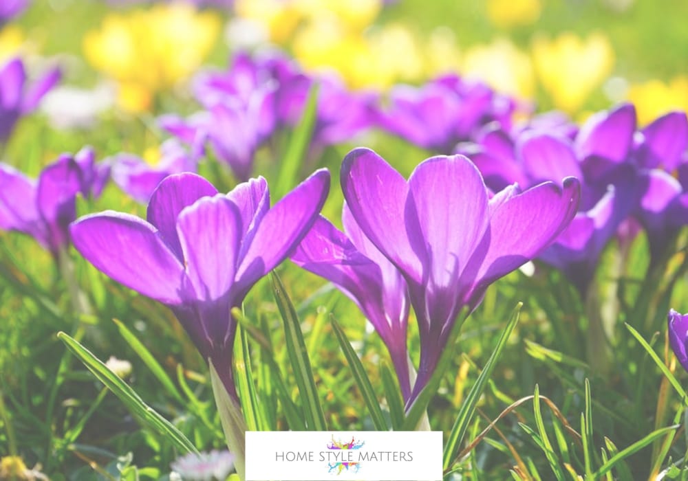 Spring Decor Upgrades That Instantly Freshen Up and Transform Your Home 1 Spring Decor Upgrades That Instantly Freshen Up and Transform Your Home 1