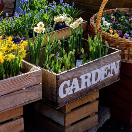 Maximise Your Space - The Unexpected Advantages Of A Raised Bed 1