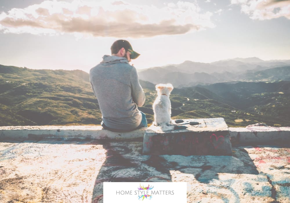 Minimise The Risk Of Accidental Injury With Unpredictable Pets 5 Building Trust