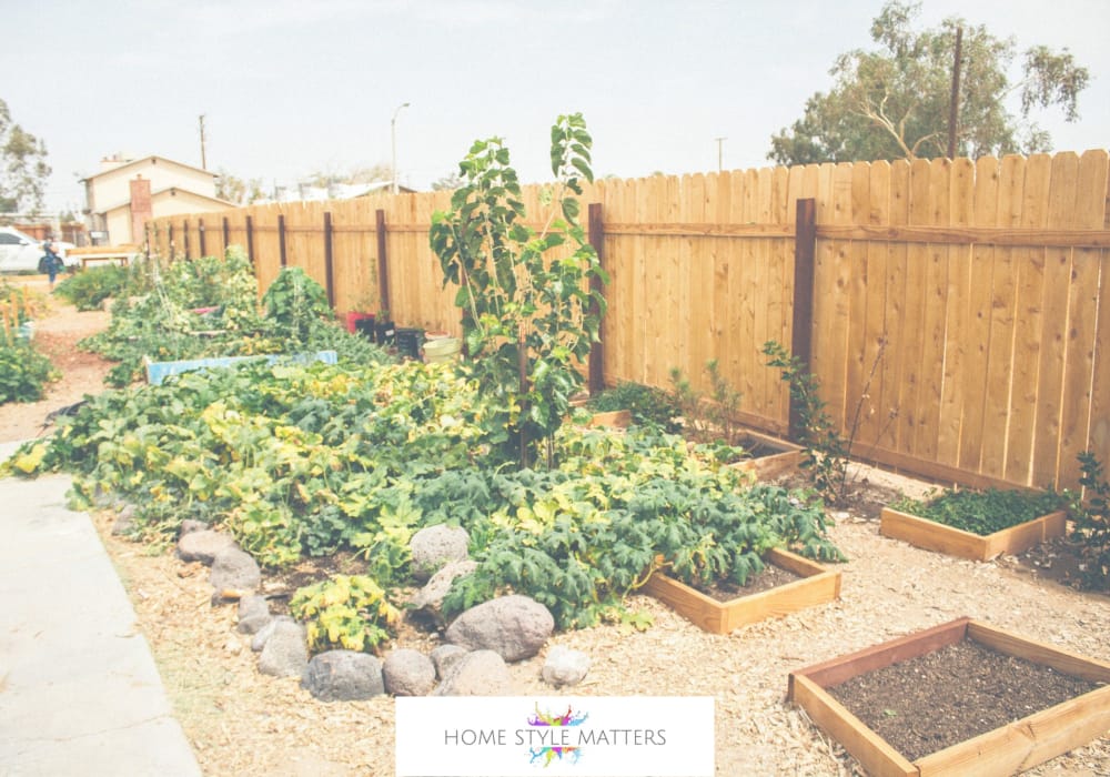 How to Build a DIY Raised Garden Bed How to Build a DIY Raised Garden Bed