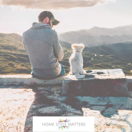 Minimise The Risk Of Accidental Injury With Unpredictable Pets 7