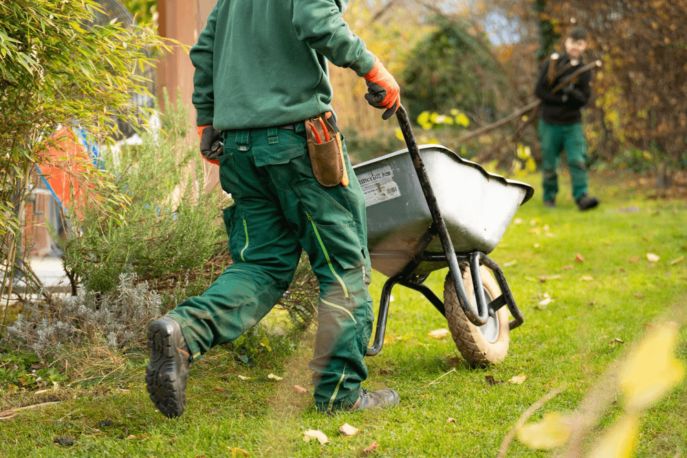 Essential Waste Management for Seasonal Home Maintenance 1 Essential Waste Management for Seasonal Home Maintenance 1
