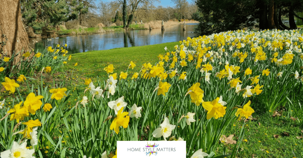 Best time to plant spring bulbs