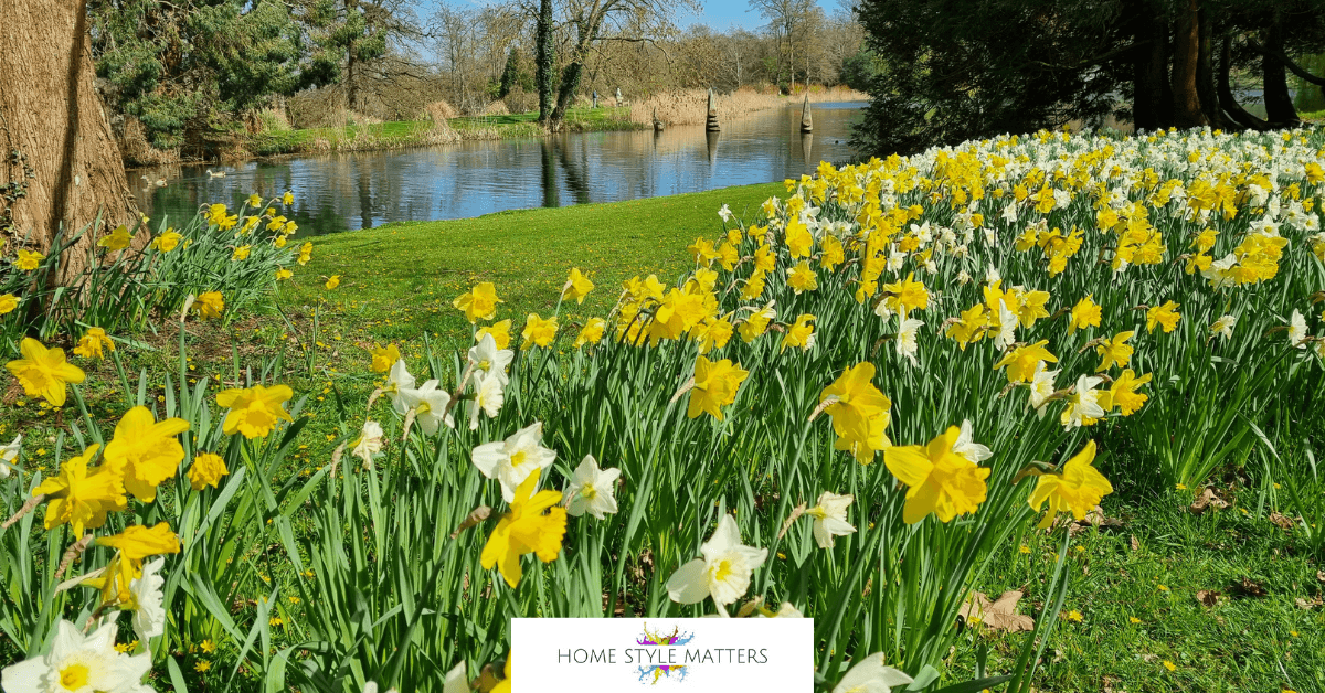 Best time to plant spring bulbs