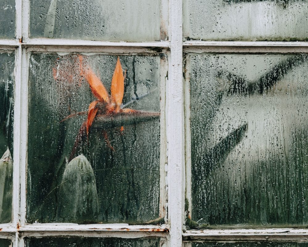 How to Stop Condensation on Windows and Prevent Mould This Winter 2